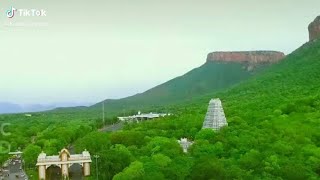 Sri venkateshwar video songs | whatasppa status| sri balaji
