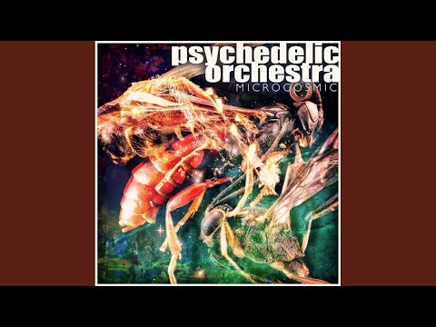 Chaplin's Dub (Original Mix)