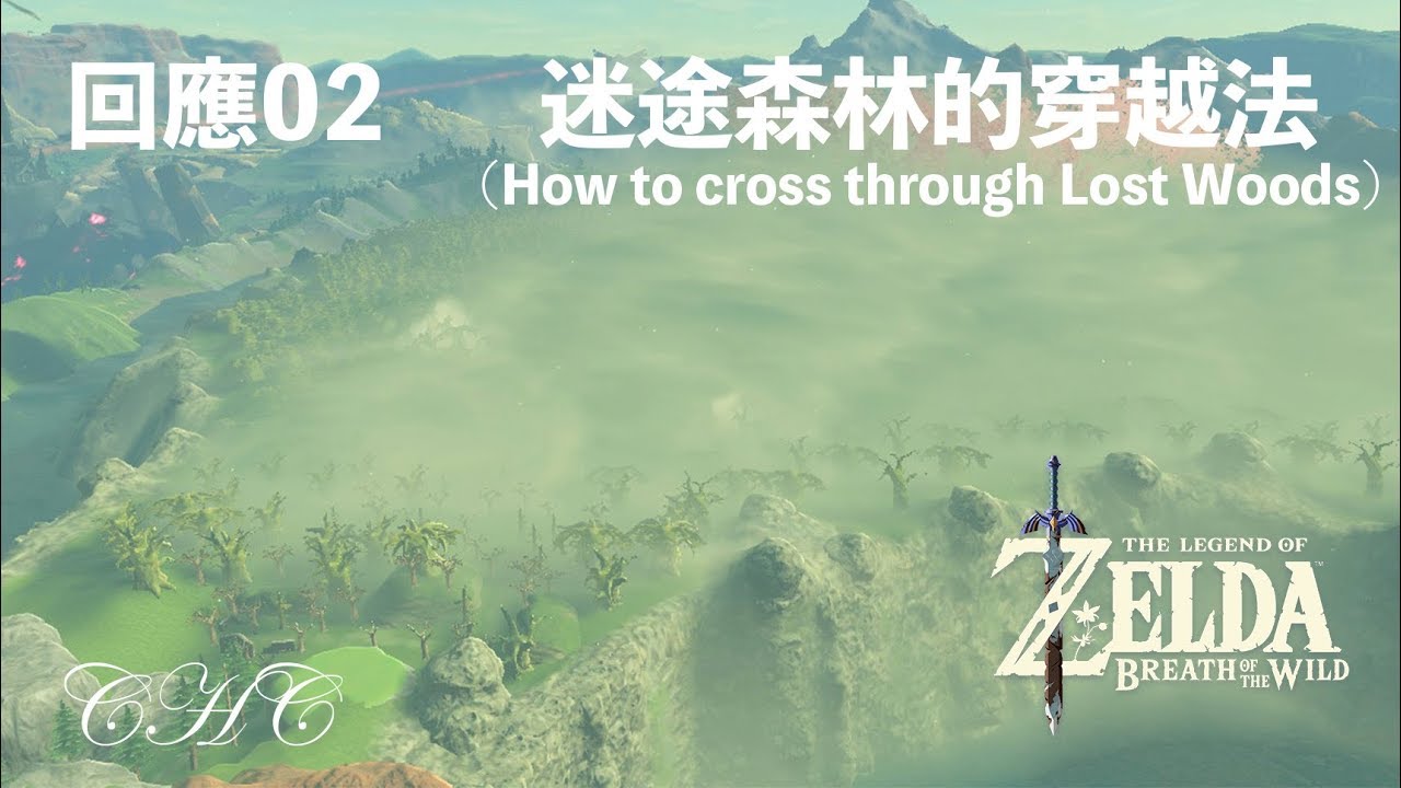 回應02 該怎麼穿越「迷途森林」？