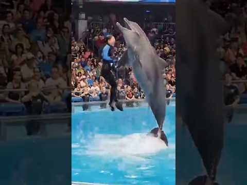 Jessica and her Orca #reels #shortvideo #jessica