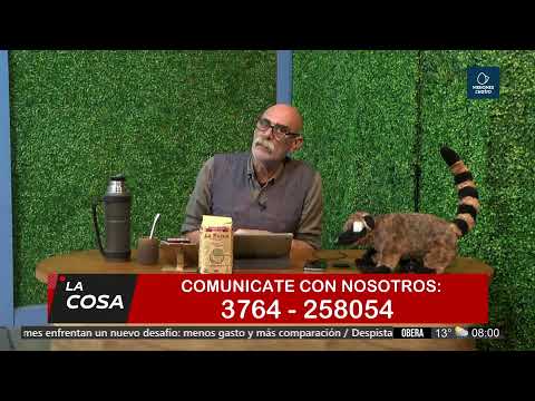 [EN VIVO] Misiones Cuatro, todas las noticias de Misiones, Argentina y el Mundo