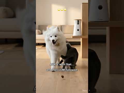 CAUGHT IN 4K 📸 LUMI Rates the Furbo 360° Dog Camera ⭐⭐⭐⭐⭐