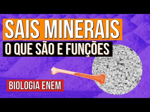 SAIS MINERAIS: o que são e funções | Resumo de Biologia para o Enem | Cláudia de Souza Aguiar