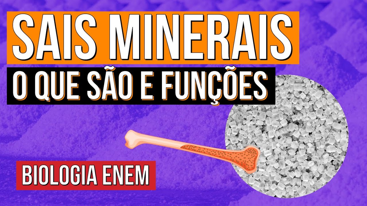 SAIS MINERAIS: o que são e funções | Resumo de Biologia para o Enem | Cláudia de Souza Aguiar