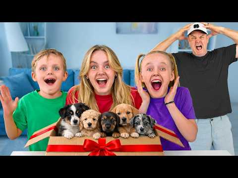 Dad’s MAD! We got 5 Puppies!