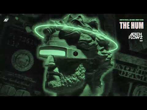DVLM - The Hum (Adieh Flowz Edit)