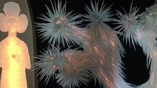 MEMORIES OF A JOSHUA TREE INSTALLATION