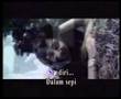 Java Jive - Yang Aku Cinta