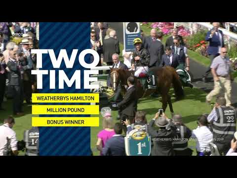 Stradivarius - King Of Stayers