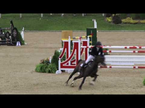 Winning Jump-off: Shane Sweetnam & Cyklon 1083