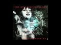 Lydia Lunch & Rowland S. Howard - Pigeon Town