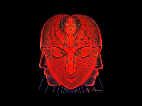 Psy Trance Mix 2014 Dj Kundalini [Invisible]