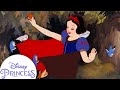 Snow White Sings With Animals In The Forest Disney Princess