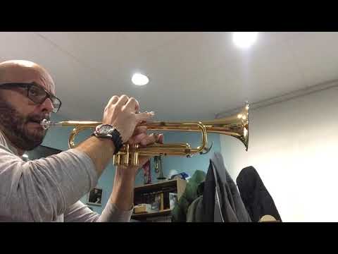 Escuchar, leer y tocar vol.1, Sube y baja (track 33)- trompeta