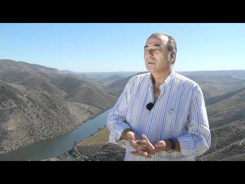 Projeto Duorum - Parte 1