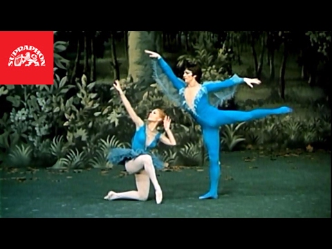 Vlastimil Harapes & Miroslava Pešíková - Primoballerino: Modrý pták / The Blue Bird