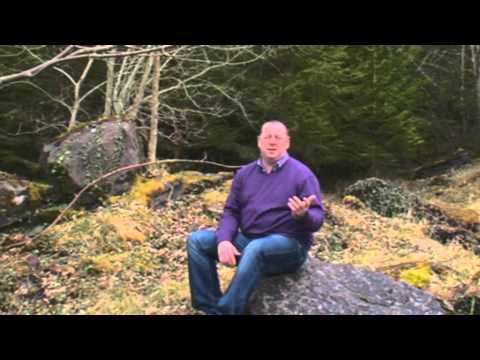 Colm Bourke. Blue Ridge Mountain Girl