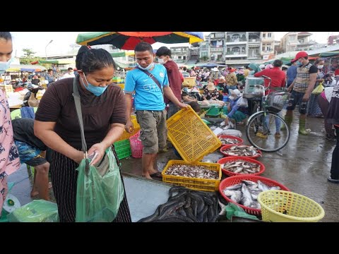 Amazing Big Site Selling All Kind Of Fish, Sea Food - Early Morning Fish Market Scenes @Chhbar Ampov