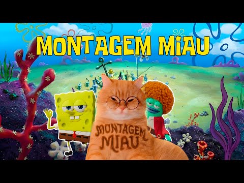 MONTAGEM MIAU X BIG GUY (COVER)