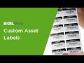 Custom Asset Tags & Labels