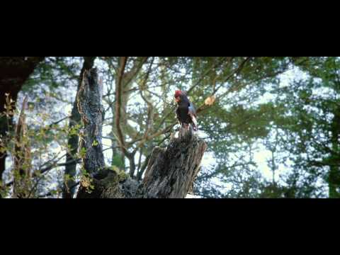 Walking with Dinosaurs: The 3D Movie | "Exploring the World" | Featurette HD