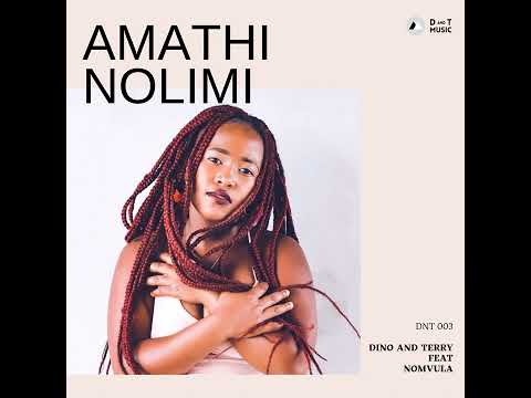 Dino and Terry Ft Nomvula - Amathi Nolimi