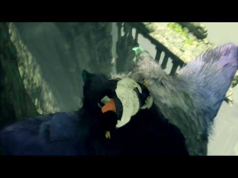 The Last Guardian - Part 8 Coliseum and Water Puzzles: Command Trico Glass Eye Shield Knights Combat