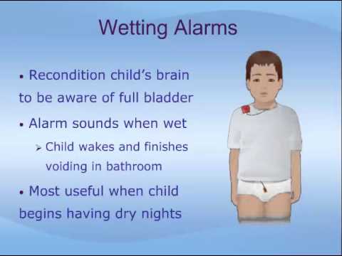Bedwetting - YouTube