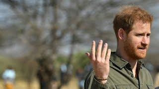 Prince Harry: 'climate change is an emergency'