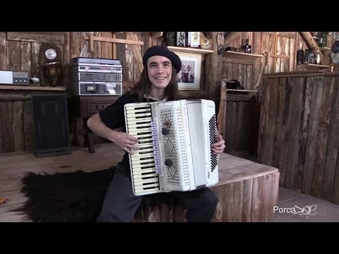 Porquinha - Baile na Serra - Tributo a Gaita