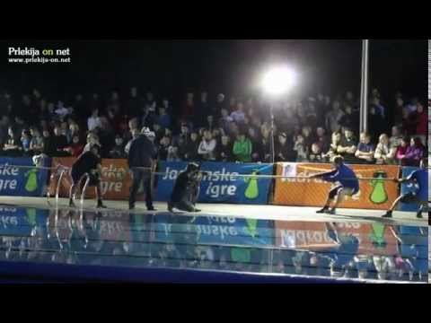 Jadranske igre v Ljutomeru