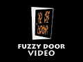 Fuzzy Door Video Logo 2004