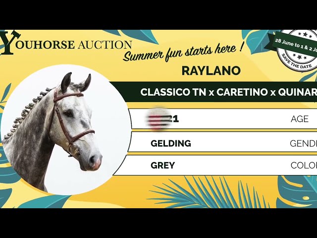 Raylano showvideo