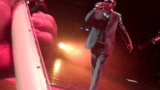 MADNESS FOREVER YOUNG ROYAL FESTIVAL HALL