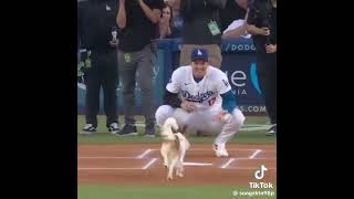 #可愛いくてごめん  デコピンも出てます‼️