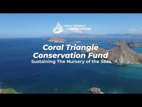 The Coral Triangle Conservation Fund