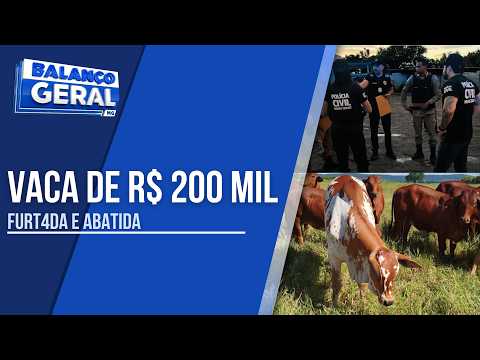 GRUPO QUE FURTOU E MATOU VACA AVALIADA EM R$ 200 MIL É ALVO DA POLÍCIA CIVIL EM ITACARAMBI