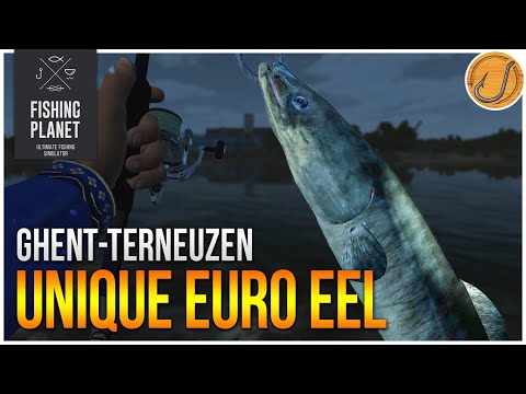 Unique European Eel of Ghent-Terneuzen Canal! | (Fishing Planet: Test Your Spot Series!)