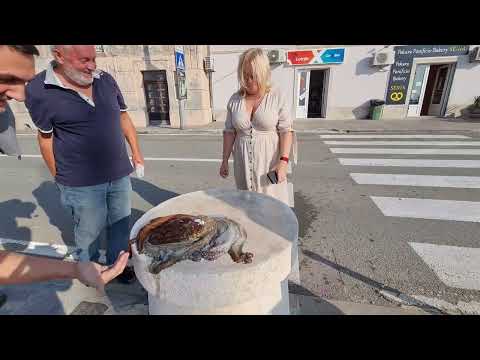 2022. október Horvátország - Montenegró