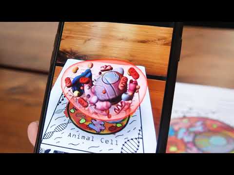 Animal Cell - Quivervision