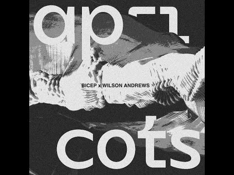 BICEP x WILSON ANDREWS | APRICOTS REMIX (Clip)