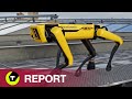 Boston Dynamics-robot Spot - Hebbeding of nuttige werknemer?