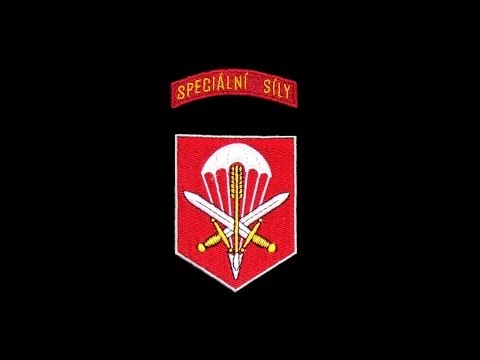 Daniel Landa - Hymna 601. skupiny speciálních sil (Arma II - operation arrowhead)
