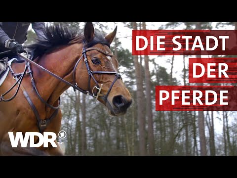 , title : 'Warendorf - Ruhmreiche Pferdestadt | Heimatflimmern | WDR'