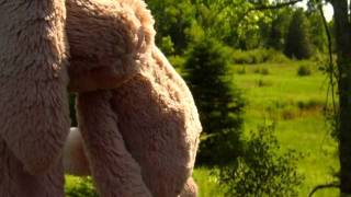 I'm Outta Time - Oasis, When We're Apart - The Morning Benders, Hollow Men - Justin Nozuka