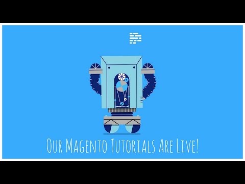 How to set up shipping methods in Magento