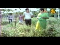 Guna Nodi Hennu Kodu Kannada Full Movie