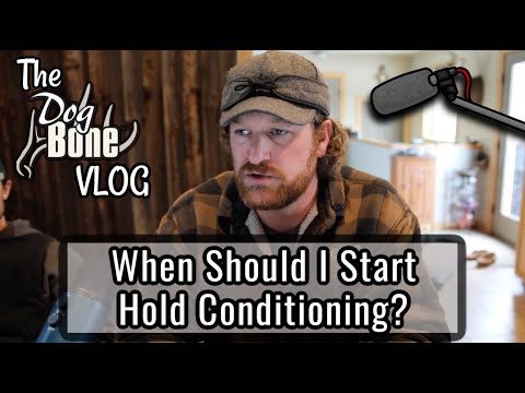 When Should I Start Hold Conditioning? | The DogBone VLOG: Ep: #101