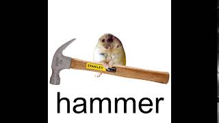 Cover art for Hammer