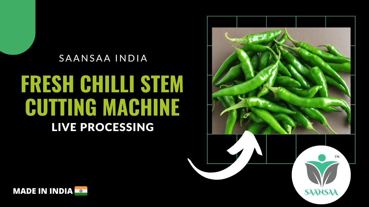 Secrets of Efficient Green Chilli Stem Cutting Machine